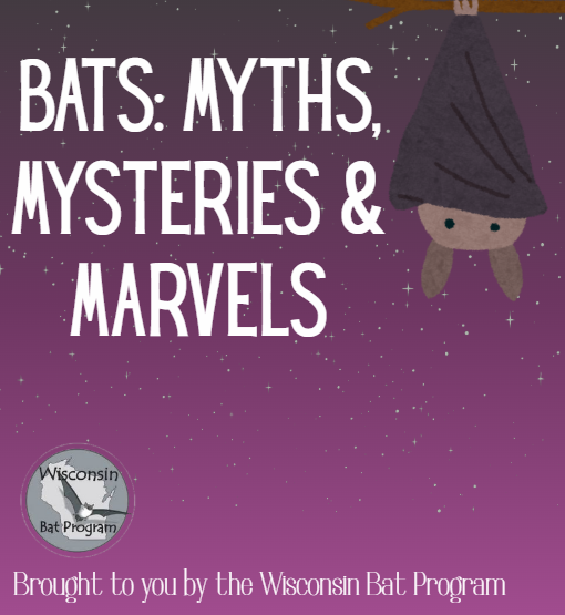 A cute bat hanging upside down next to the title of the event and the Wisconsin Bat Program logo