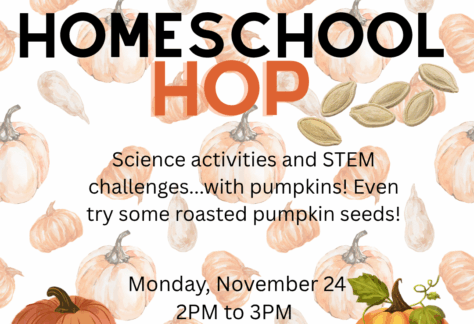 A background of various pumpkins with two bright pumpkin images at the bottom and pumpkin seeds next to title text that reads, "Homeschool Hop." Additional text reads, "Science activities and STEM challenges...with pumpkins! Even try some roasted pumpkin seeds! Monday, November 24. 2PM to 3PM."
