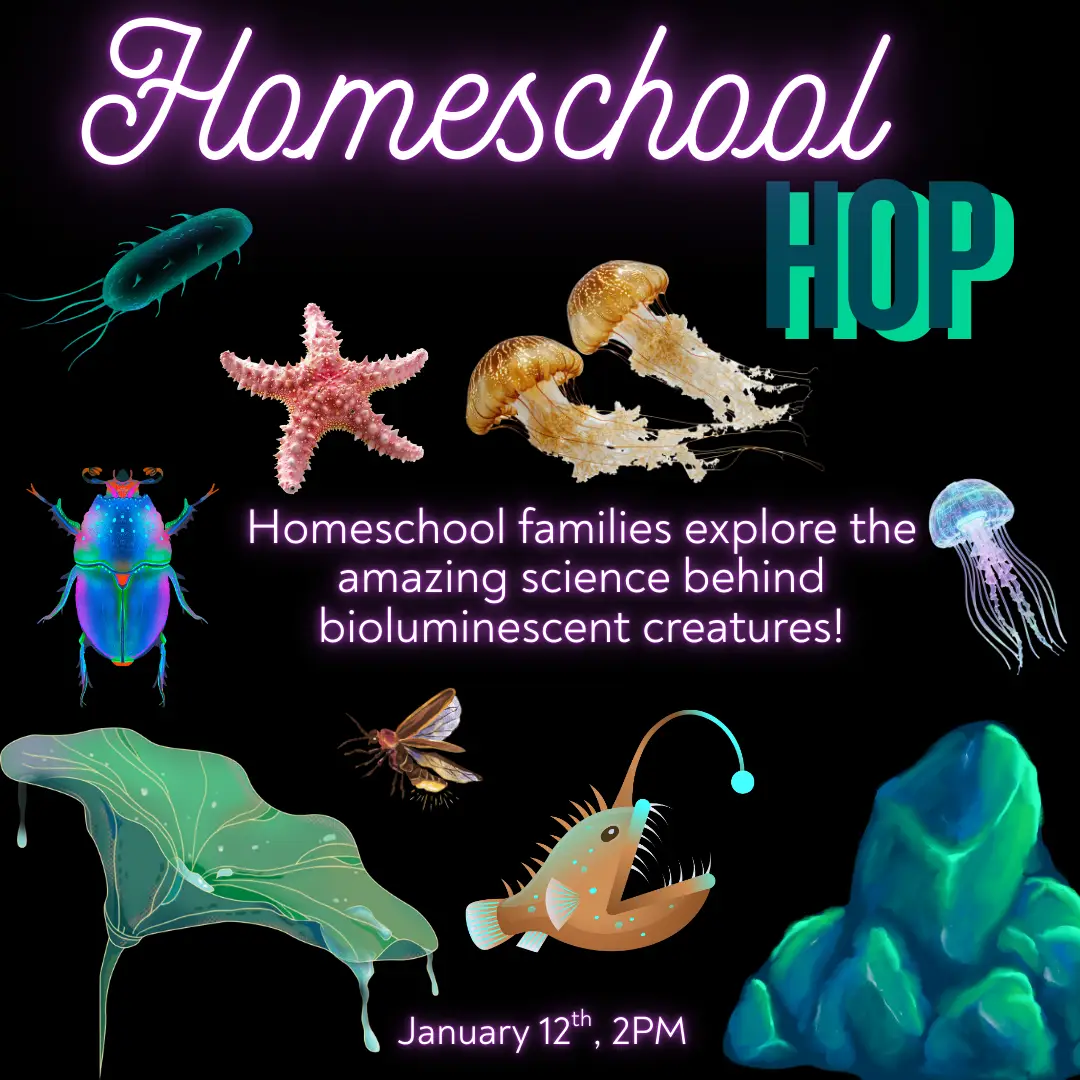 glowing images of rock, angler fish, bugs, jellyfish, starfish & plants., links to information about Homeschool Hop