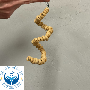 A hand holding a spiral-shaped bird feeder made from cereal on a wire, with a Shawano County Library Community Reads logo in the corner.