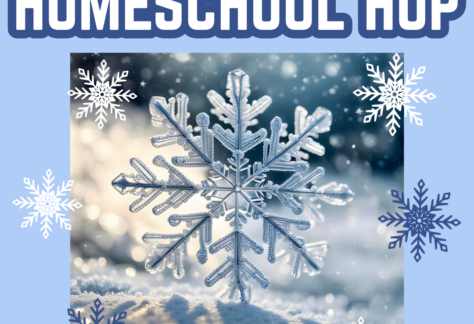 Light blue background with a close up snowflake. Homeschool Hop. March 9., links to more information