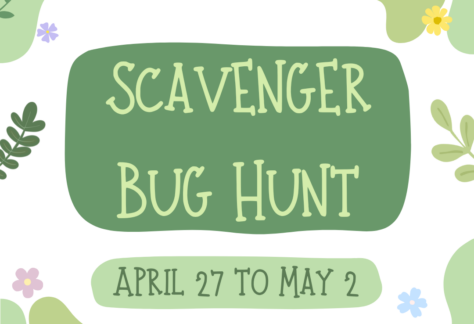 White background with green leaves and says scavenger bug hunt April 27 to May 2.