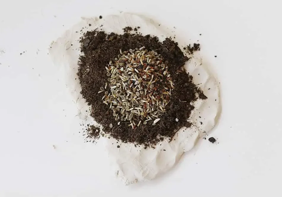 Image of ball of soil and seeds
