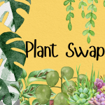 "Plant Swap" Images of plants