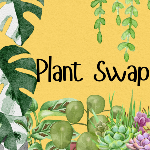 "Plant Swap" Images of plants