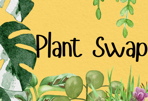 "Plant Swap" Images of plants