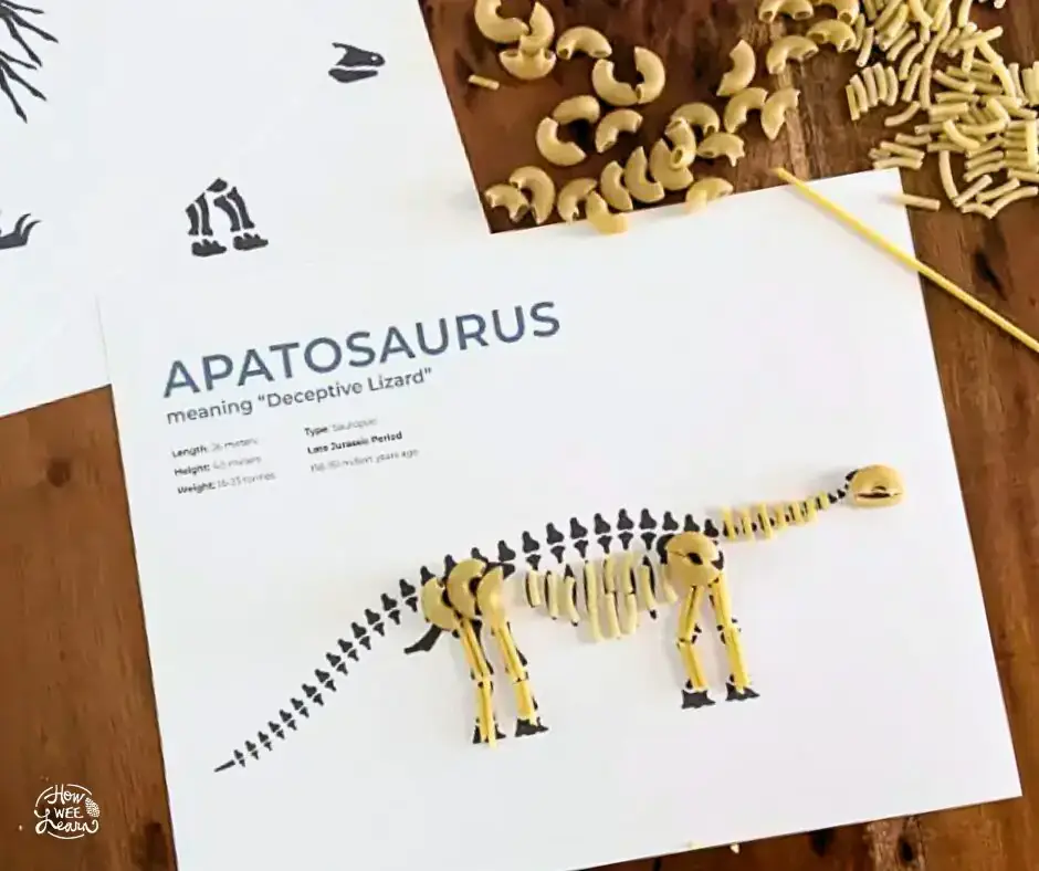 Image of a dinosaur skeleton made out of different pasta shapes