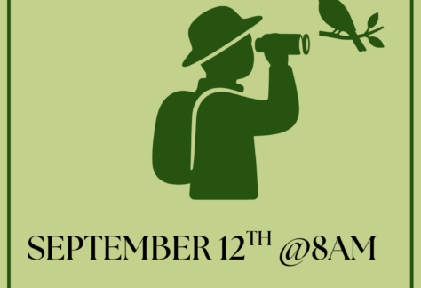 "Bird Club September 12th @8am Meet us at Kuckuk Park!" Image of a person birdwatching
