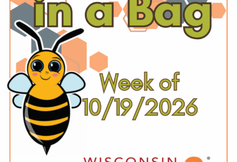 "Science in a Bag Week of 10/19/2026 Part of the" Wisconsin Science Festival logo